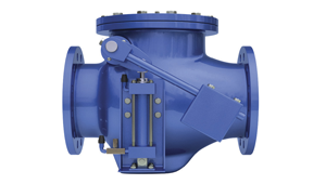 Check Valves Suppliers stockists Manufacturers Exporters in Jaipur India