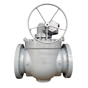 Top Entry Ball Valve Manufacturer in India