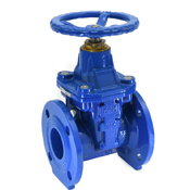 Resilient Gate Valve Manufacturer in India