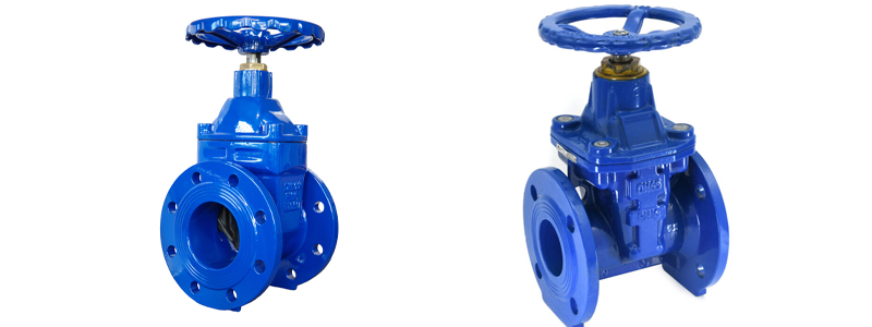 Resilient Gate Valve Manufacturer in India