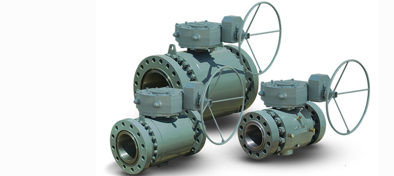 Trunnion Mounted Ball Valve Manufacturer in India