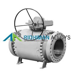Trunnion Mounted Ball Valve Supplier in India