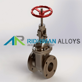 Valves Supplier in Pithampur
