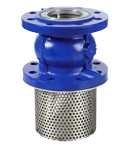 Foot Valves Manufacturer in Pithampur