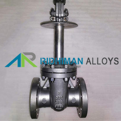 Cryogenic Gate Valve Supplier in India