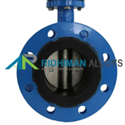 Flexible Butterfly Valve Supplier in India