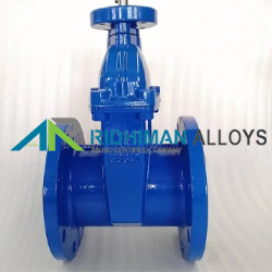 Resilient Gate Valve Supplier in India